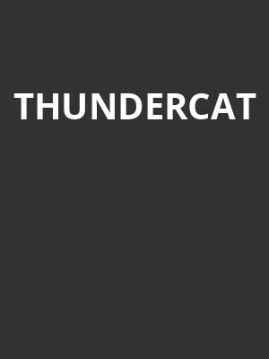 Thundercat Poster